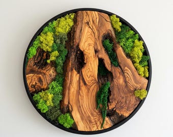 Olive Wood & Moss Wall Art | Handmade Live Edge Decor