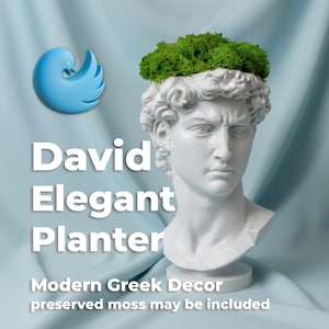 Può includere: Un busto bianco di David trasformato in fioriera, con muschio verde in cima. Il testo "David Elegant Planter" e "Modern Greek Decor" sono presenti. Un logo di uccello blu è visibile in alto a sinistra.