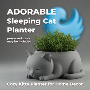 May include: A gray sleeping cat planter with green plants. The planter has the text "ADORABLE Sleeping Cat Planter" and "Cozy Kitty Planter for Home Decor". Preserved moss may be included.
