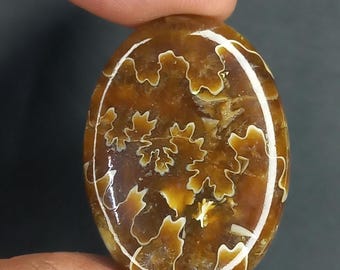 Natural 100% Ammonite Cabochon AAA Quality Loose Gemstone 36×26×7 Ovel Shape