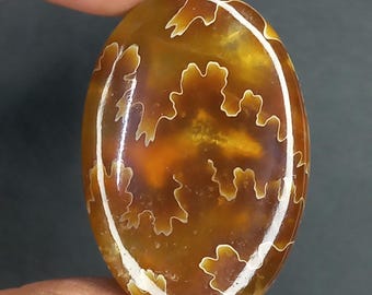 Natural 100% Ammonite Cabochon AAA Quality Loose Gemstone 40×27×7 Ovel Shape