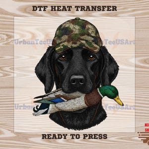 May include: A black Labrador Retriever wearing a camouflage hat, holding a duck in its mouth. The image includes the text "DTF HEAT TRANSFER" and "READY TO PRESS". The dog's fur is detailed, and the duck has green, brown, and blue feathers.
