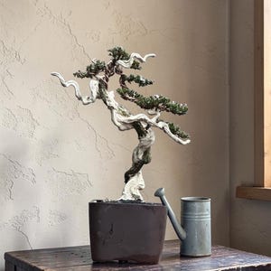 May include: A bonsai tree with a twisted, white trunk and green foliage sits in a dark brown rectangular pot. A small, light blue watering can is next to the pot on a wooden surface. The background is a textured beige wall.