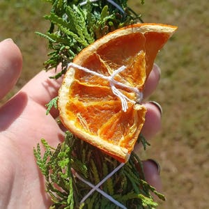 May include: A bundle of green cedar sprigs tied with white string, featuring a dried orange slice. The orange slice is a vibrant orange color. The cedar sprigs are a deep green. The bundle is held in a hand.