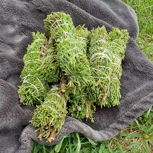 Juniper saining bundles