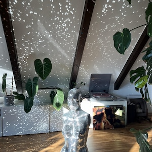 Könnte beinhalten: Eine silberne Discokugel-Büste reflektiert Licht auf einem Holzboden. Ein Plattenspieler und Pflanzen befinden sich im Hintergrund. Der Raum hat eine schräge Decke mit Balken. Die Büste ist der Blickfang.