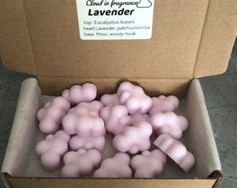 Pastillas de cera de soja / Regalo relajante / Fragancia para el hogar / Aroma a lavanda / Cera de colza y coco