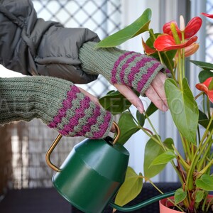 May include: Green and purple striped knitted fingerless gloves. The gloves are being worn while watering a plant with a green watering can. The plant has large green leaves and red flowers.