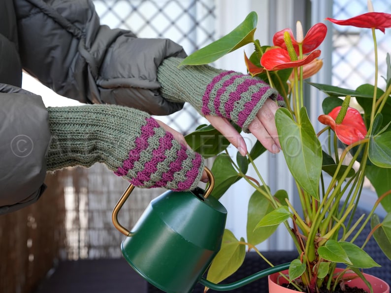 May include: Green and purple striped knitted fingerless gloves. The gloves are being worn while watering a plant with a green watering can. The plant has large green leaves and red flowers.