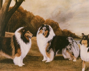 Collie Minidruck ""Time of Glory"", signiert
