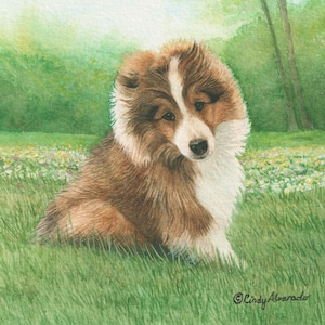 Sheltie Puppy Limited Edition Print, &quot;Love Always&quot;