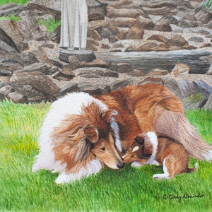 New!  Collie and Sheltie giclee print "Peaceful Garden"