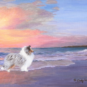 Op de afbeelding: Een blauwe merle Shetland Sheepdog staat op een zandstrand en kijkt uit over de zee. De lucht is zacht roze en paars, met wolken die de zonsondergang reflecteren.