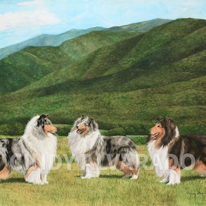 Collie Limited Edition Giclee Print "Daydreams in Time"