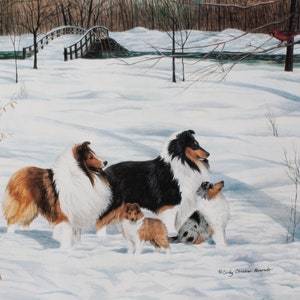 Shetland Sheepdog &quot;Second Generation&quot; lithograph print