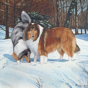 Collie &quot;Snowfall&quot; Blank Greeting Cards, 5 Cards/Envelopes per Pack