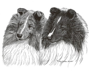 Könnte beinhalten: Schwarz-weiß-Zeichnung von zwei Shetland Sheepdogs, einer mit einem weißen Blitz auf der Schnauze, die sich gegenseitig ansehen. Die Zeichnung ist signiert mit "Cindy Christian Alvarado".
