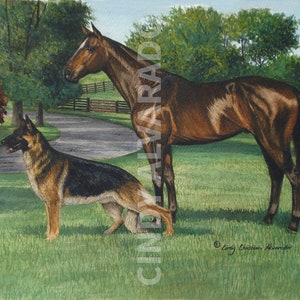 Bluegrass Reverie, German Shepherd Giclee Print by Cindy Alvarado