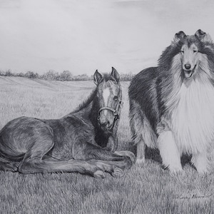 Limited Edition Collie print &quot;Kindred Spirits&quot; by Cindy Alvarado