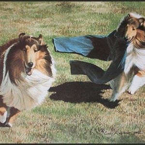 Clothesline Bandits lithograph Collie print by Cindy Alvarado