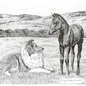 Cartões de felicitações, "Conversas" com Collie e potro, 5 cartões e envelopes
