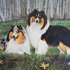 Spring Mist, Sheltie Limited Edition Lithograph Print