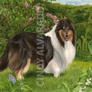 Limited Edition Collie print, &quot;Enchantment&quot;