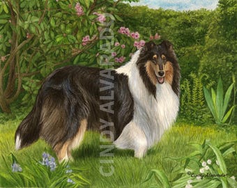 May include: A black and white Collie dog stands in a grassy field with green foliage and pink flowers in the background. The dog is looking at the viewer with a happy expression.