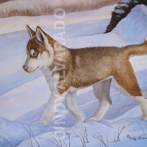 May include: A brown and white husky puppy walks through a snowy landscape. The puppy has blue eyes and a fluffy tail. The background is a light blue with white snow drifts.