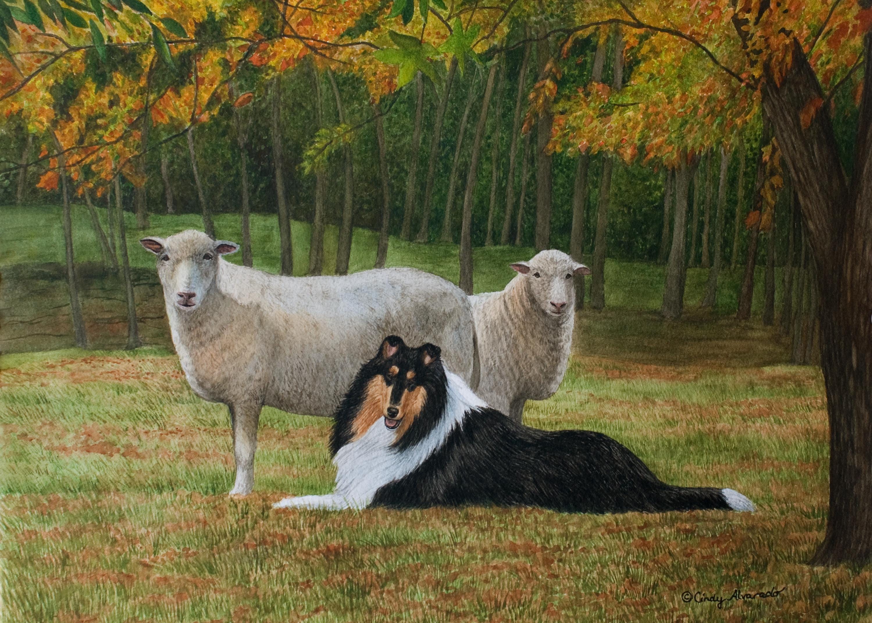 Tricolor Rough Collie Mini Print 