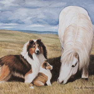 Shetland Friends, Shelties with Shetland Pony limited edition print