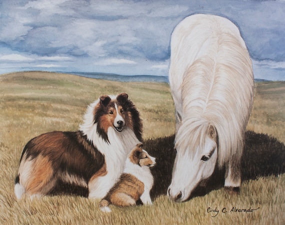 Shetland Friends, Shelties With Shetland Pony Limited Edition