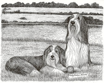 Bearded Collie giclee print "Intermission" by Cindy Alvarado