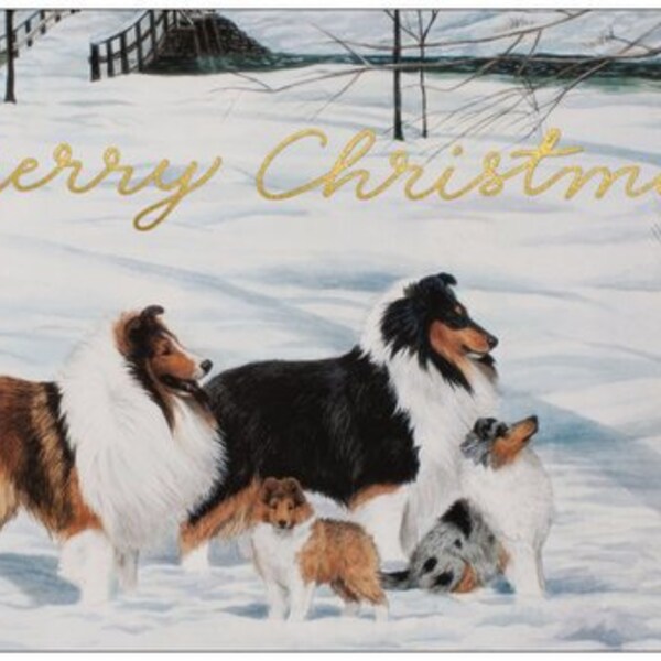 Sheltie "Second Generation" Christmas cards, 5 cards and envelopes per pack