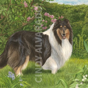 Limited Edition Collie print, "Enchantment"