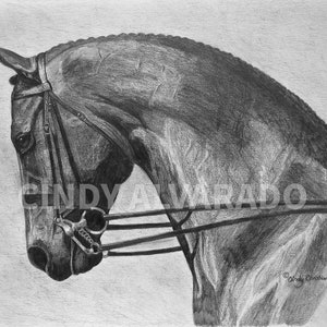 Dressage horse limited edition giclee print, "Power and Grace"
