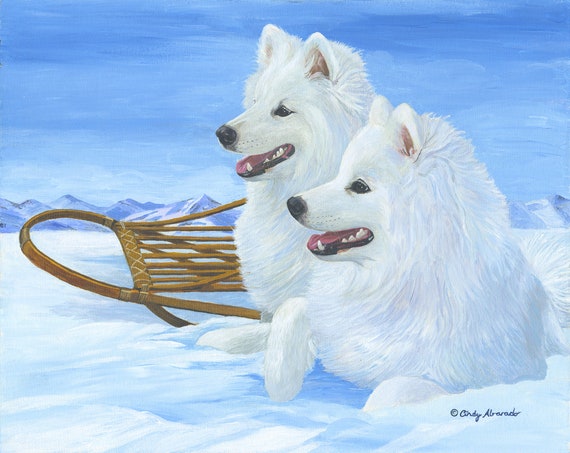 Samoyed Puppies Blue Samoyed Buy New! Samoyed Puppies - Main Image
