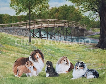 May include: Five Shetland Sheepdogs, or Shelties, are posed in a grassy field with a wooden bridge in the background. The dogs are all different colors, including brown, white, black, and blue. The bridge is over a river and there are trees and flowers in the background.