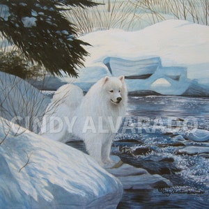 Samoyed giclee print "Snowy Crossing" by Cindy Alvarado