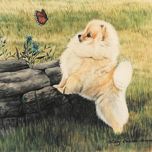 Pomeranian giclee print, &quot;Spring Meeting&quot;