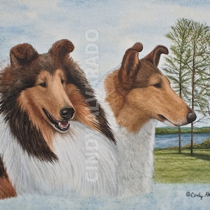 Savignac COLLIE MISCHUNGS-TREU 1952年リト額付 Collie Limited Edition Rough and Smooth Print 