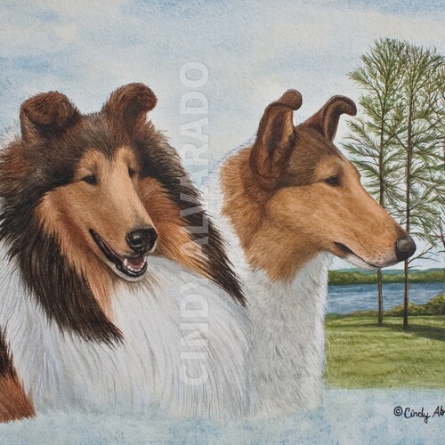 Collie Limited Edition Rough and Smooth Print 
