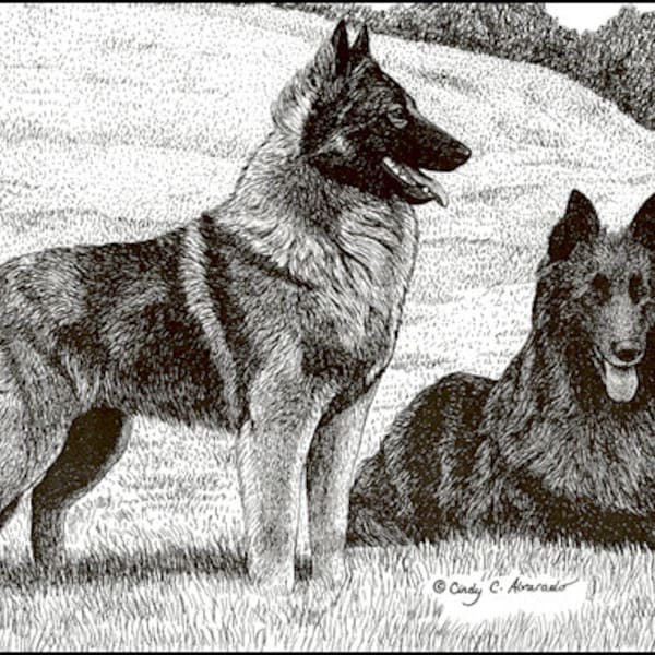 Belgian Tervuren and Belgian Sheepdog, Limited Edition Print by Cindy Alvarado