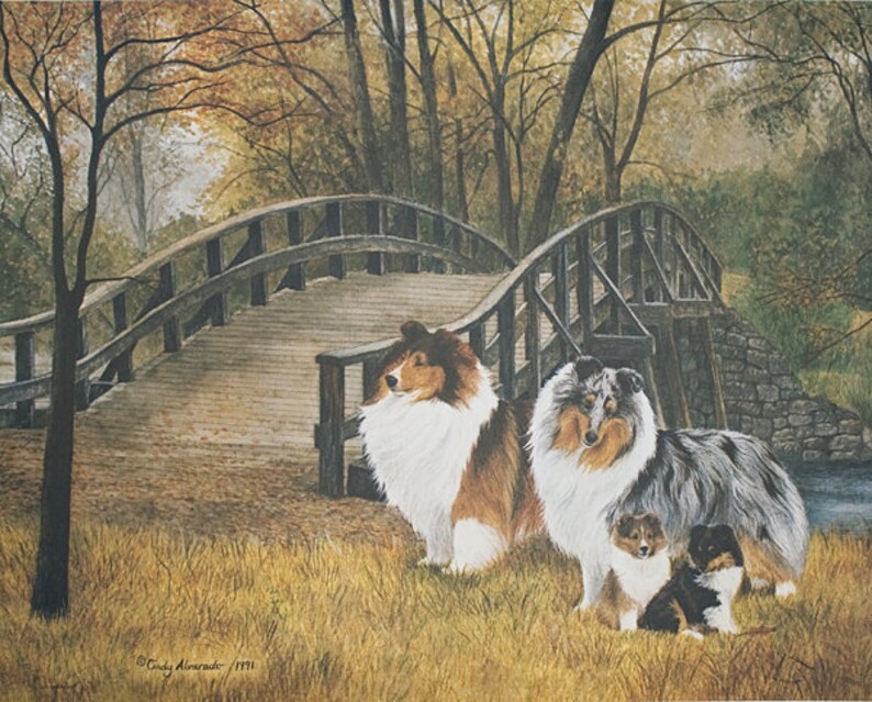 Shetland Sheepdog lithograph Generations image 1