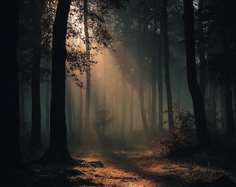 Autumn Nature 4K Mobile Wallpapers: Misty Fall Textures (Digital Download)