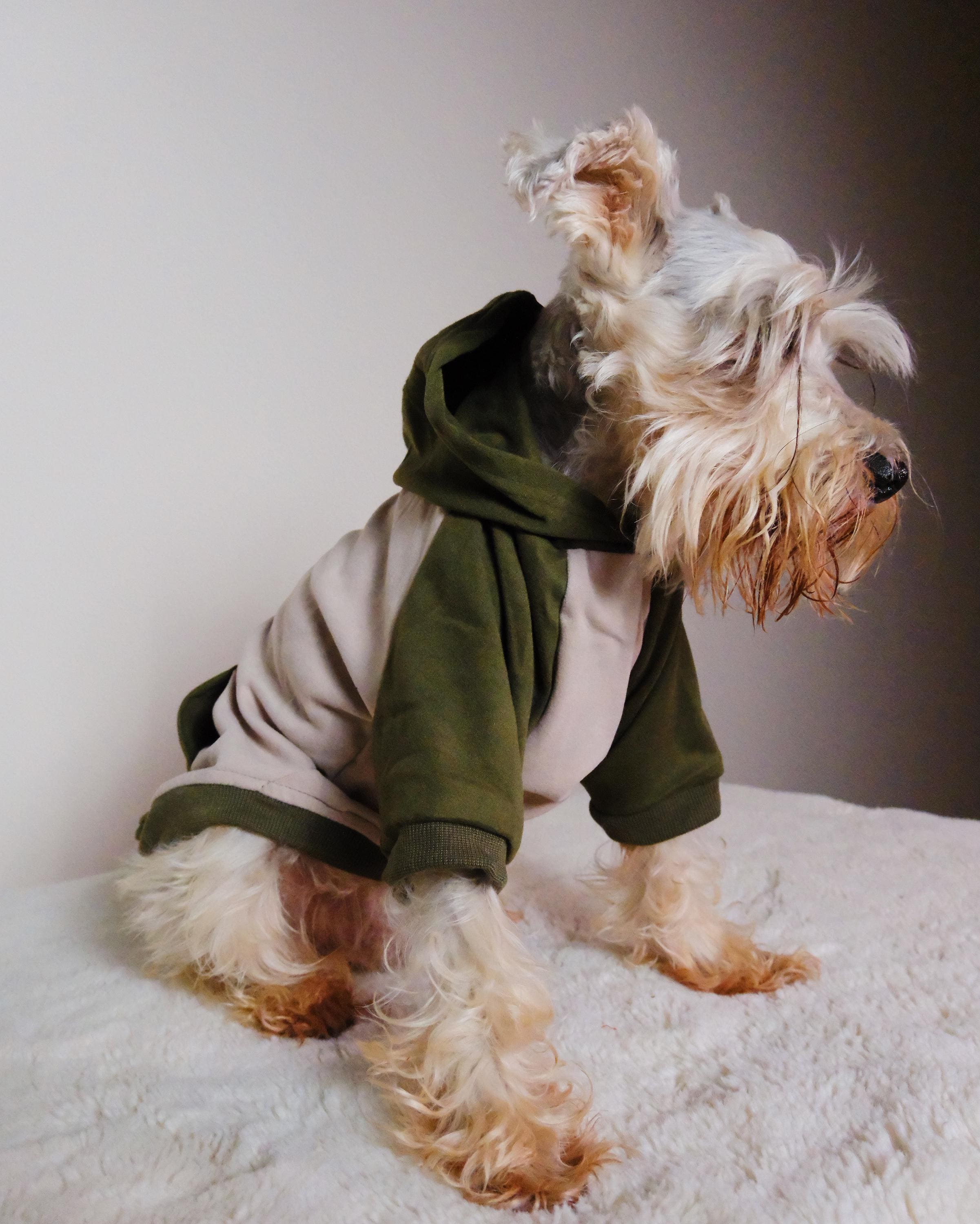 reformation dresses Pink Plaid Dog Harness Dress: Punk Rock Studded Pet Harness – FooFooFido main image 1