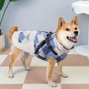 May include: A Shiba Inu dog wearing a blue and white plaid dog coat with a black harness. The dog coat has a white collar and a pocket on the back. The dog is standing on a checkered floor.