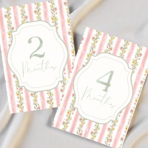 PRINTABLE Baby Girl Milestone Cards Month 1-12 | Monthly Photo Props Newborn Baby