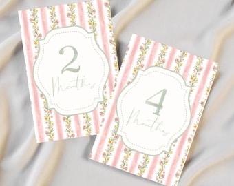 PRINTABLE Baby Girl Milestone Cards Month 1-12 | Monthly Photo Props Newborn Baby