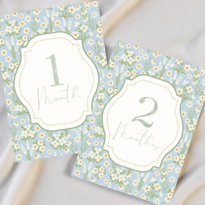 PRINTABLE Blue Floral Milestone Cards Month 1-12 | Monthly Photo Props Newborn Baby
